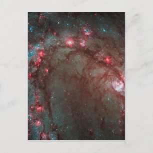 Zuidelijk Pinwheel Briefkaart