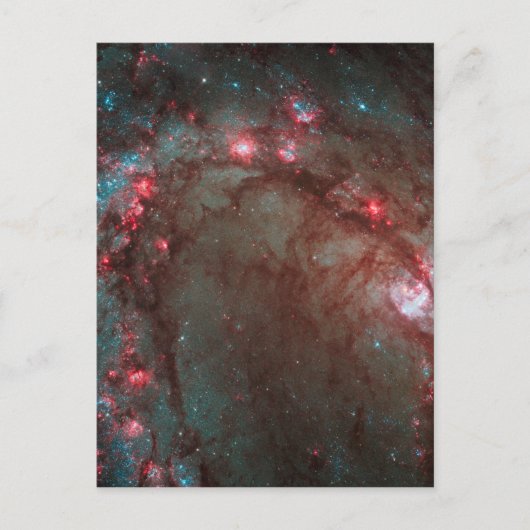 Zuidelijk Pinwheel Briefkaart (Voorkant)