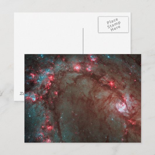 Zuidelijk Pinwheel Briefkaart (Voorkant / Achterkant)