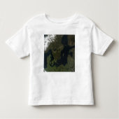 Zuidelijk Scandinavia Kinder Shirts (Voorkant)