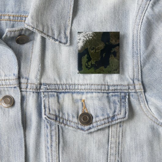 Zuidelijk Scandinavia Vierkante Button 5,1 Cm (In situ)