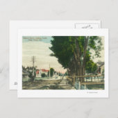 Zuidelijk Uitzicht van Auburn Street Briefkaart (Voorkant / Achterkant)