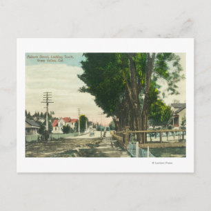 Zuidelijk Uitzicht van Auburn Street Briefkaart