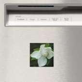 Zuidelijke Belle Magneet (Insitu (Vaatwasser))