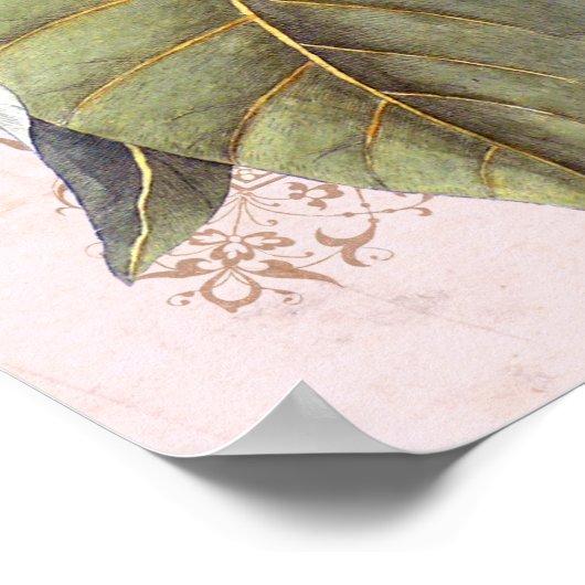 Zuidelijke Elegance  Botanische Magnolia Poster (Hoek)