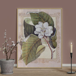 Zuidelijke Elegance  Botanische Magnolia Poster