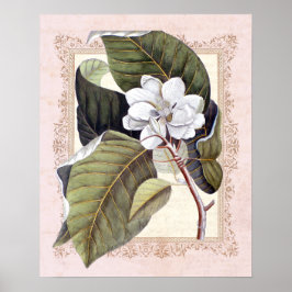 Zuidelijke Elegance  Botanische Magnolia Poster