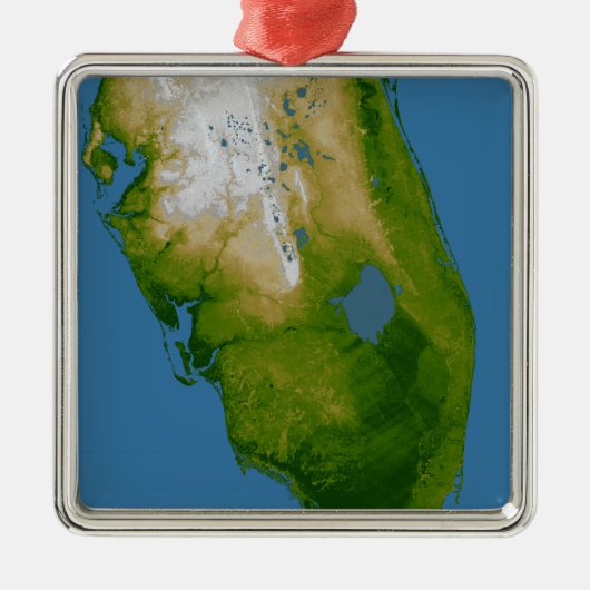 Zuidelijke Florida Metalen Ornament (Voorkant)