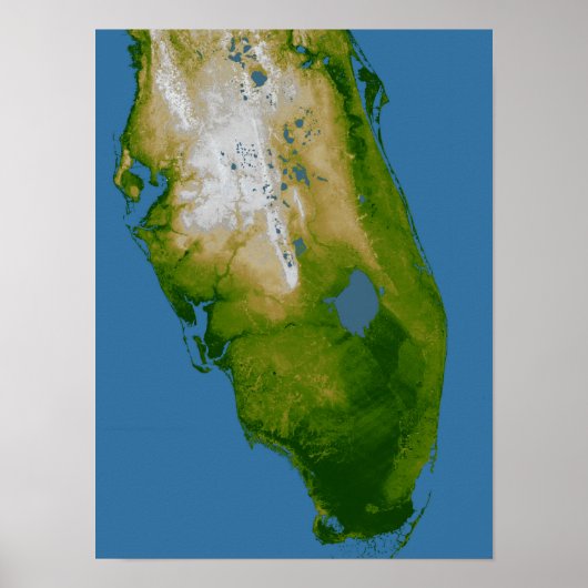 Zuidelijke Florida Poster (Voorkant)