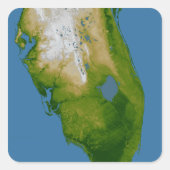 Zuidelijke Florida Vierkante Sticker (Voorkant)