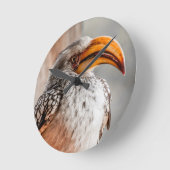 Zuidelijke Gele Hornbill Ronde Klok (Hoek)