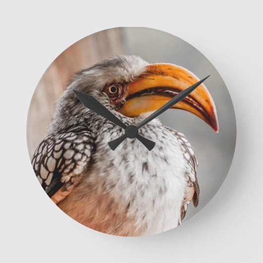 Zuidelijke Gele Hornbill Ronde Klok (Voorkant)