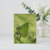 Zuidelijke Groenen Briefkaart (Staand voorkant)