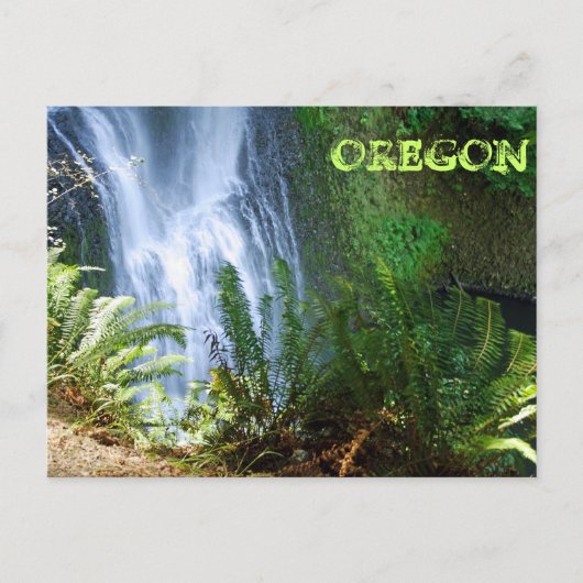 Zuidelijke Herfsten onderaan Briefkaart (Voorkant)