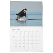 Zuidelijke Ingezetene Killer Whale Agenda 2016 Kalender (Mar 2026)