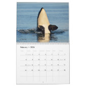 Zuidelijke Ingezetene Killer Whale Agenda 2016 Kalender (Feb 2026)