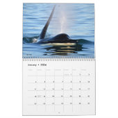 Zuidelijke Ingezetene Killer Whale Agenda 2016 Kalender (Jan 2026)