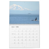 Zuidelijke inwoner van Killer Whales Kalender (Mar 2026)