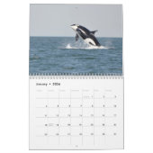 Zuidelijke inwoner van Killer Whales Kalender (Jan 2026)