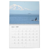 Zuidelijke inwoner van Killer Whales Kalender (Mar 2027)