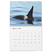 Zuidelijke inwoner van Killer Whales Kalender (Feb 2027)