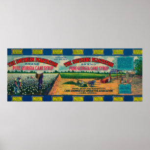 Zuidelijke kantelbeveiligingCaïro, GA Poster