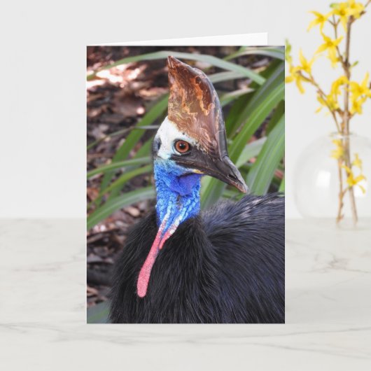 Zuidelijke Kasuaris Kaart (Gele Bloem)