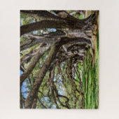 Zuidelijke levende eiken bomen van Louisiana Legpuzzel (Verticaal)