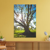 Zuidelijke levende eikenboom canvas afdruk (Insitu (Woonkamer))