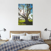 Zuidelijke levende eikenboom canvas afdruk (Insitu (Slaapkamer))