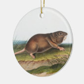 Zuidelijke Pouched Rat, Shrew Mole Illustratie Keramisch Ornament (Links)