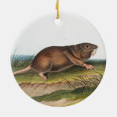 Zuidelijke Pouched Rat, Shrew Mole Illustratie Keramisch Ornament (Achterkant)