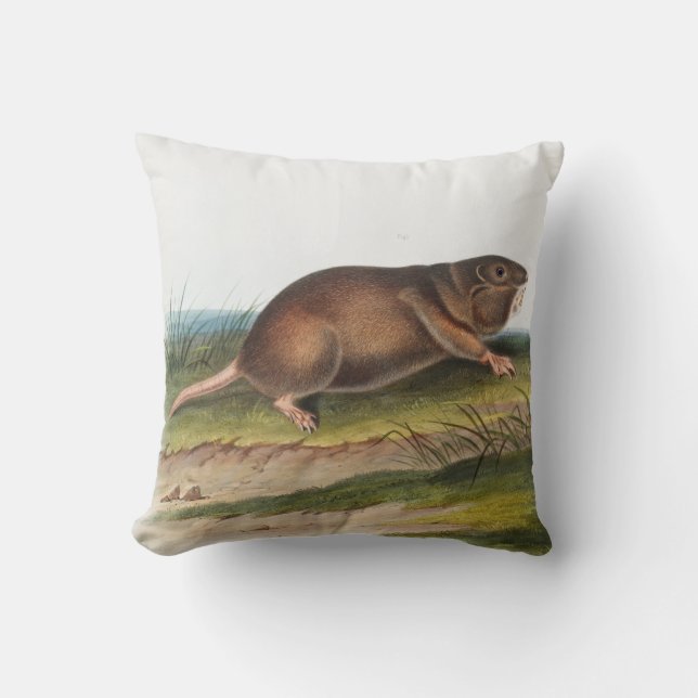 Zuidelijke Pouched Rat, Shrew Mole Illustratie Kussen (Voorkant)