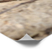 Zuidelijke Rattlesnake. Poster (Hoek)