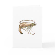 Zuidelijke Shrimp Art