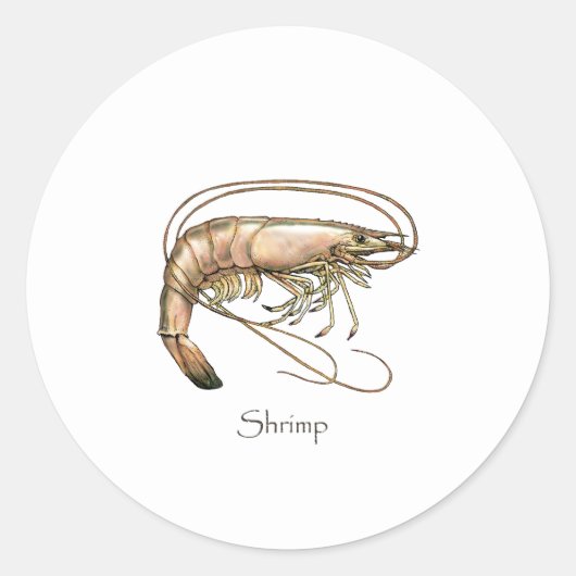 Zuidelijke Shrimp Art Logo Ronde Sticker (Voorkant)