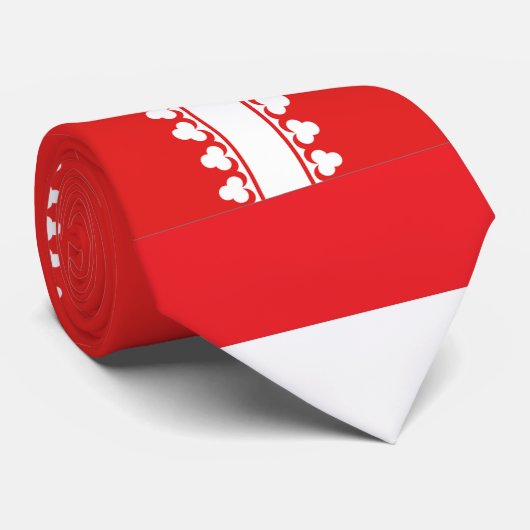 Zuidelijke stekelstaartstekelstaart stropdas (Opgerold)