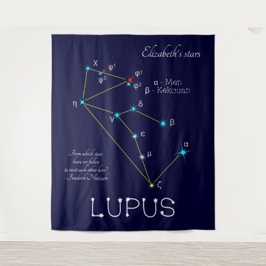 Zuidelijke sterrenbeeld Wolf Wandkleed (Voorkant)