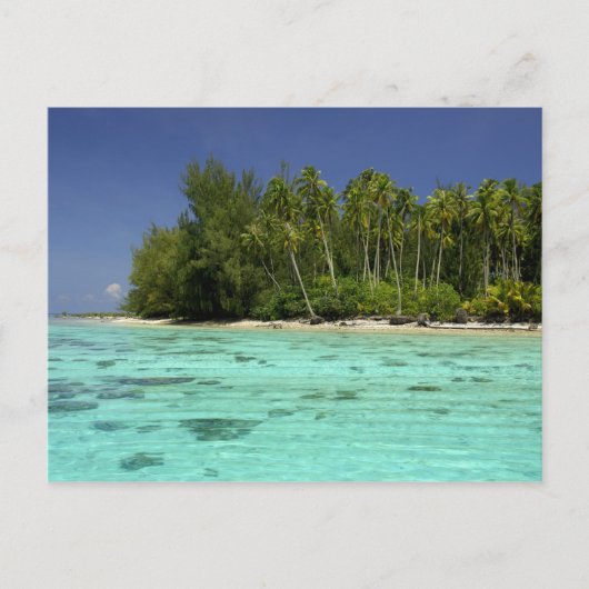 Zuidelijke Stille Oceaan, Frans-Polynesië, Marea 2 Briefkaart (Voorkant)