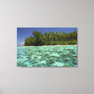 Zuidelijke Stille Oceaan, Frans-Polynesië, Moorea  Canvas Afdruk