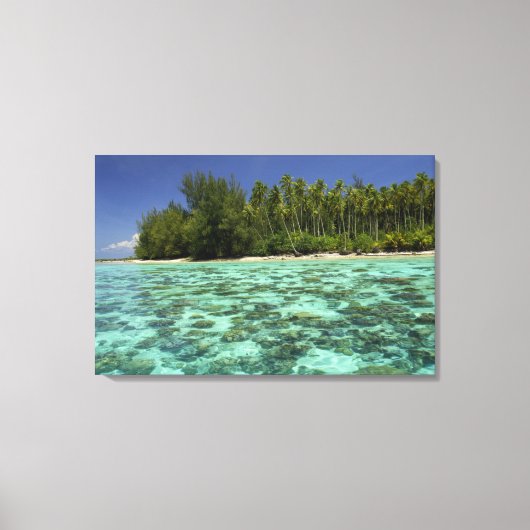 Zuidelijke Stille Oceaan, Frans-Polynesië, Moorea  Canvas Afdruk (Voorkant)