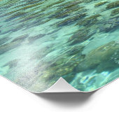 Zuidelijke Stille Oceaan, Frans-Polynesië, Moorea Foto Afdruk (Hoek)