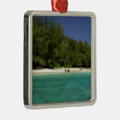 Zuidelijke Stille Oceaan, Frans-Polynesië, Moorea Metalen Ornament (Rechts)