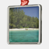 Zuidelijke Stille Oceaan, Frans-Polynesië, Moorea Metalen Ornament (Links)