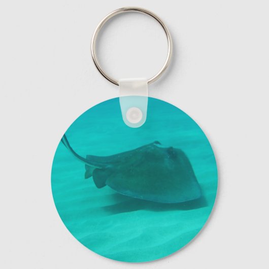 Zuidelijke Stingray 2 Sleutelhanger (Voorkant)