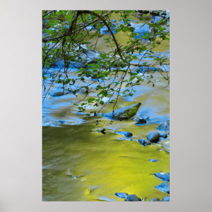 Zuidelijke tak Wilsonrivier, Oregon Poster