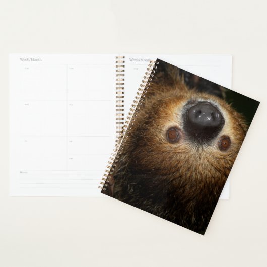 Zuidelijke tweesporige sleuf planner (Display)