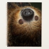 Zuidelijke tweesporige sleuf planner (Voorkant)