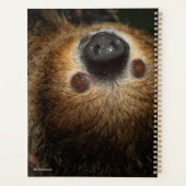 Zuidelijke tweesporige sleuf planner (Achterkant)
