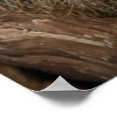 Zuidelijke tweesporige sleuf poster (Hoek)